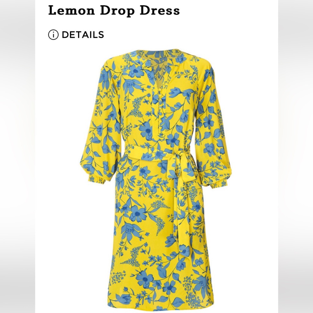 Cabi dress